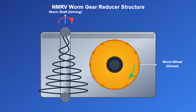 NMRV worm gear reducer structure components worm wheel and shaft diagram